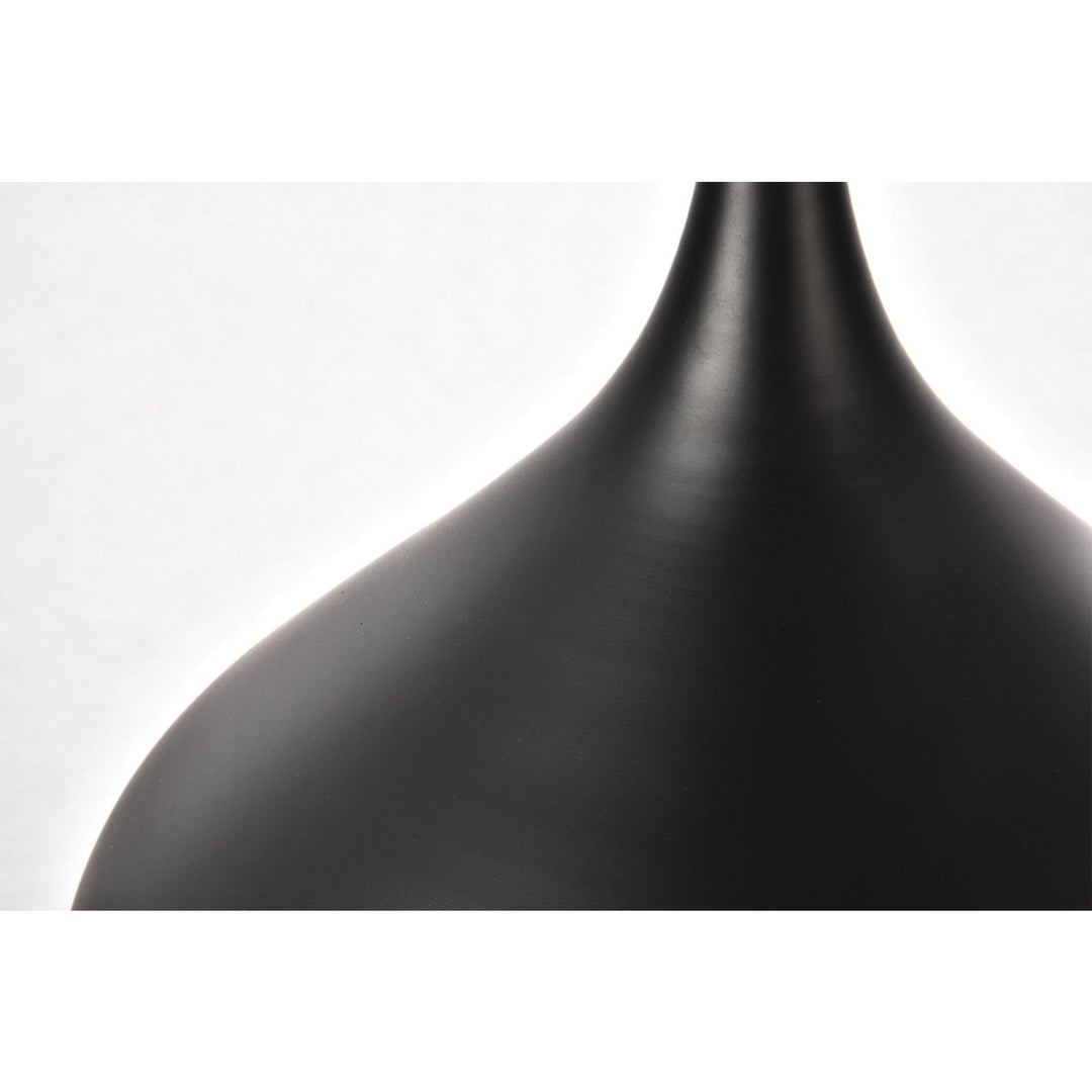 Collection Pendant D12.5in H10in Lt:1 Black Finish - View 6 - Joshua Marshal