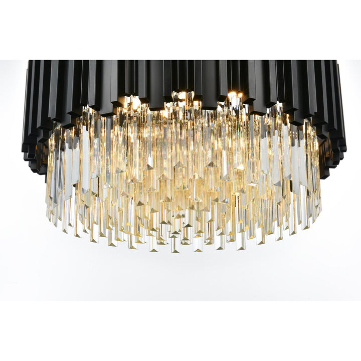 24 Inch Chandelier In Black - View 5 - Joshua Marshal