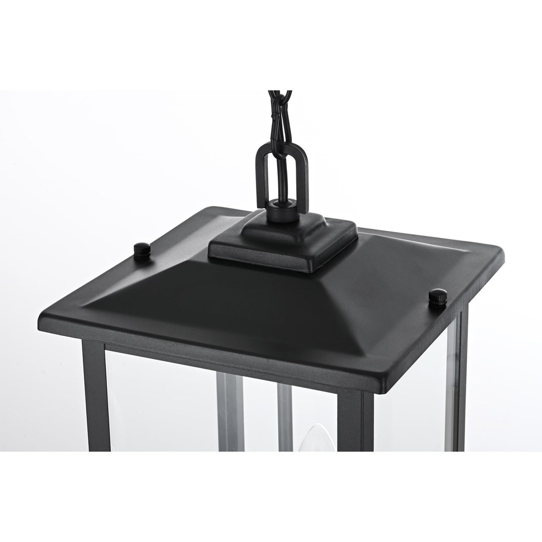 9 Inch Outdoor Pendant In Black - View 4 - Joshua Marshal