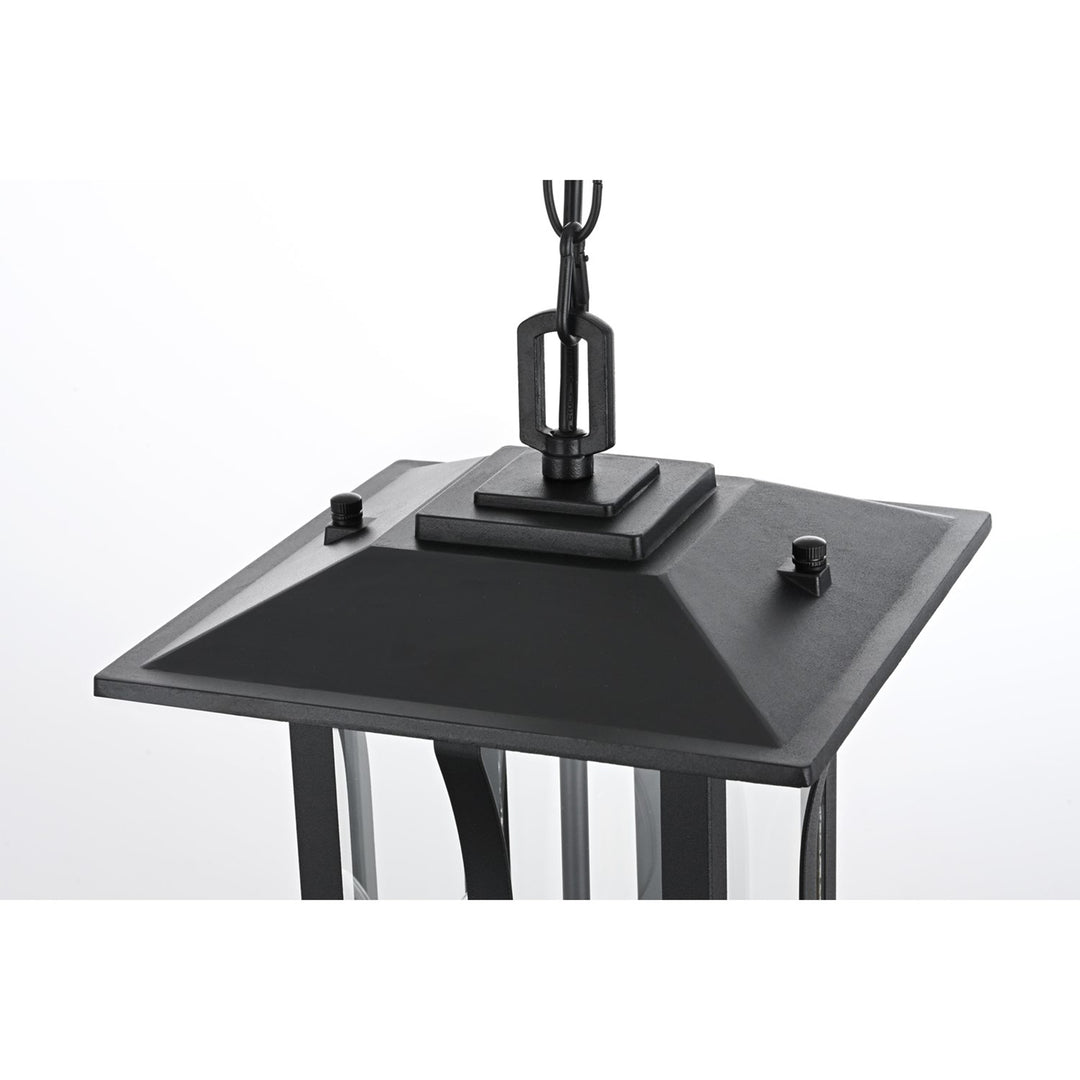 9 Inch Outdoor Pendant In Black - View 5 - Joshua Marshal