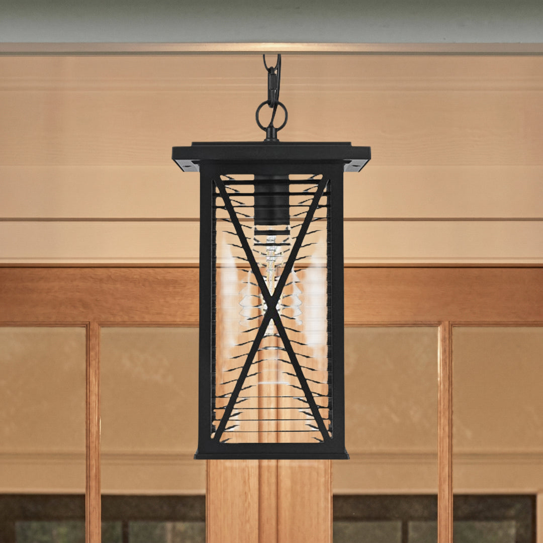 14 Inch Outdoor Pendant In Black Black And Clear Finish - LIGHTING by Joshua Marshal