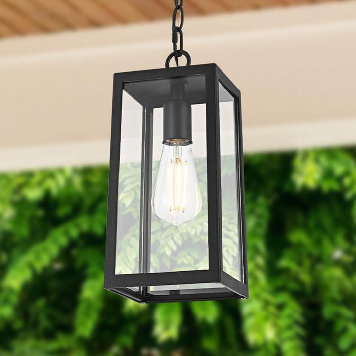 13 Inch Outdoor Pendant In Black Black And Clear Finish - LIGHTING by Joshua Marshal