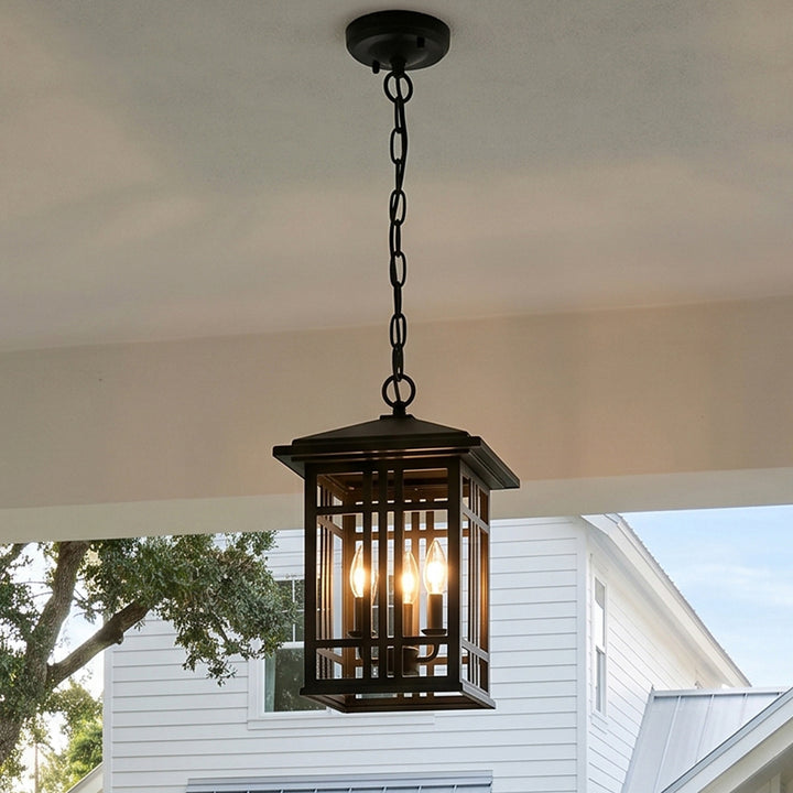 12 Inch Outdoor Pendant In Black Black And Clear Finish - LIGHTING by Joshua Marshal